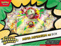 pokemon ascended heros mega meganium ex box