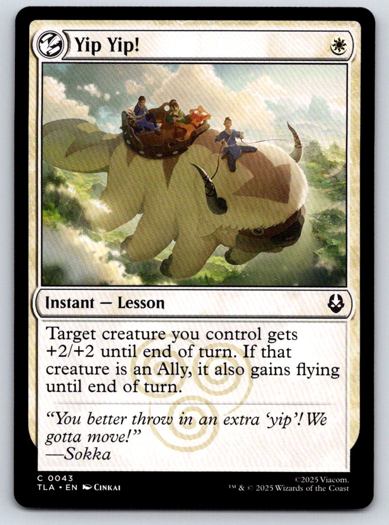 Yip Yip! 43 Common Avatar: The Last Airbender 