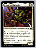 Leonardo, Big Brother 0014 Teenage Mutant Ninja Turtles