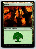 Forest (0286) 286 Land Avatar: The Last Airbender 